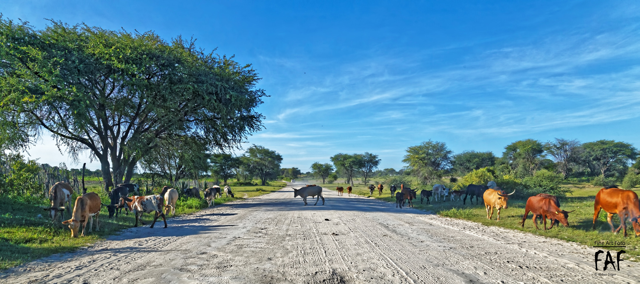 Namibia