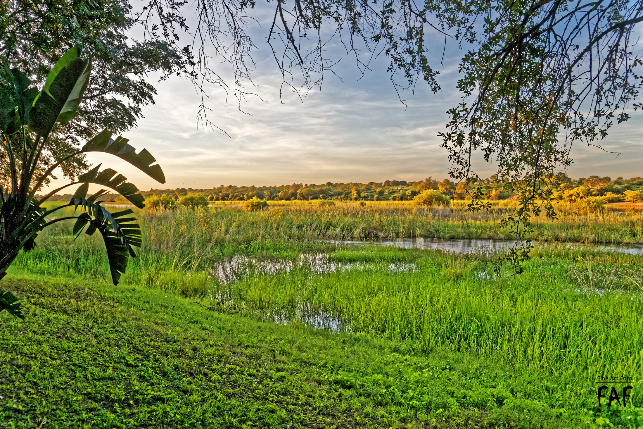 Kwando River Bank