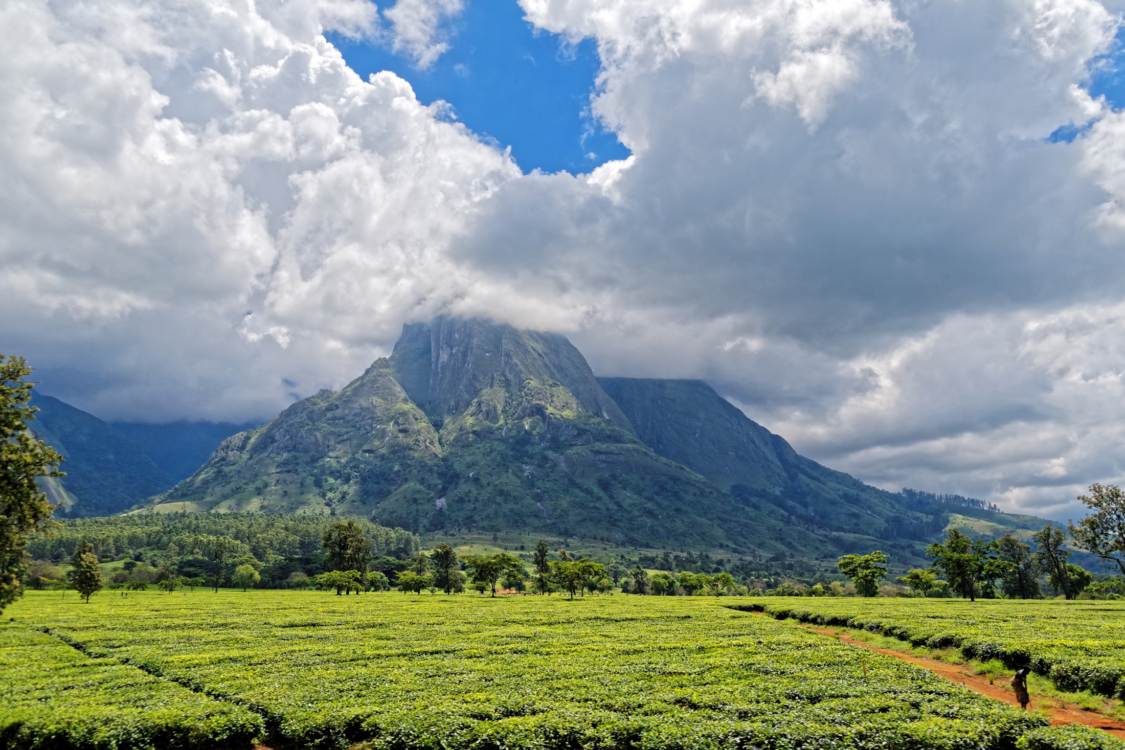 Mulanje Mountain Malawi